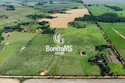 Chácara de 16,5 Hectares 