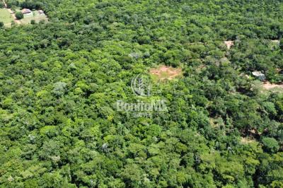 Chácara em Bonito – MS | 4 Hectares