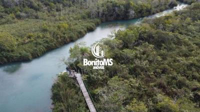 Chácara de 4ha com 100 metros de Rio Formoso