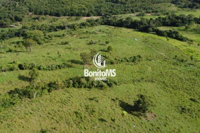 Chácara de 22 Hectares