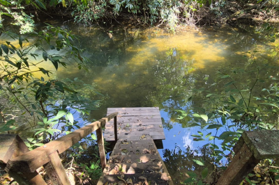 Chácara com 4 Hectares com 180 metros de Rio Betione