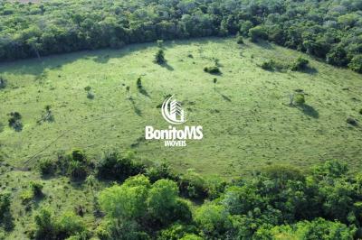 Chácara de 37 Hectares com Vocação Pecuária em Bonito – MS