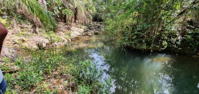 Chácara de 5 ha à 28 km de Bonito - MS