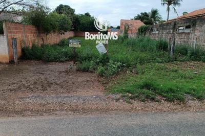 Terreno à Venda – Vila América