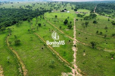 Chácara com 82 hectares